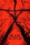Nonton Streaming Download Drama Blair Witch (2016) jf Subtitle Indonesia