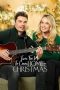 Nonton Streaming Download Drama Time for Me to Come Home for Christmas (2018) Subtitle Indonesia