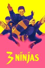 Nonton Streaming Download Drama Nonton 3 Ninjas (1992) Sub Indo jf Subtitle Indonesia