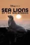 Nonton Streaming Download Drama Nonton Sea Lions of the Galapagos 2025 Sub Indo JF Subtitle Indonesia
