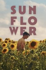 Nonton Streaming Download Drama Nonton Sunflower 2024 Sub Indo JF Subtitle Indonesia