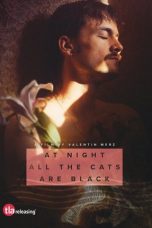 Nonton Streaming Download Drama Nonton At Night All the Cats Are Black 2023 Sub Indo JF Subtitle Indonesia